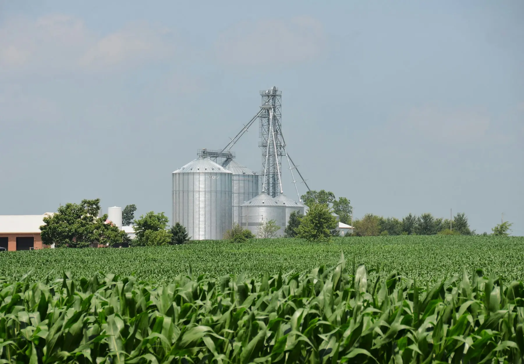 Silos de grãos acima de uma lavoura de milho
